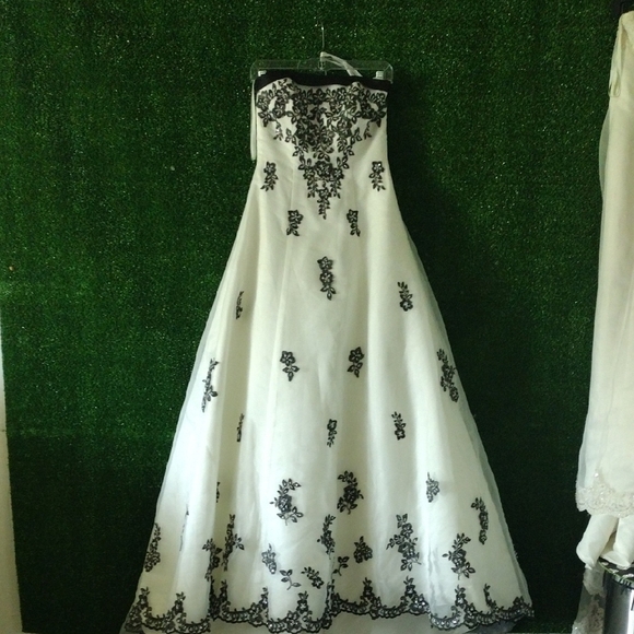 David's Bridal Ivory and Black Gown - Picture 1 of 5